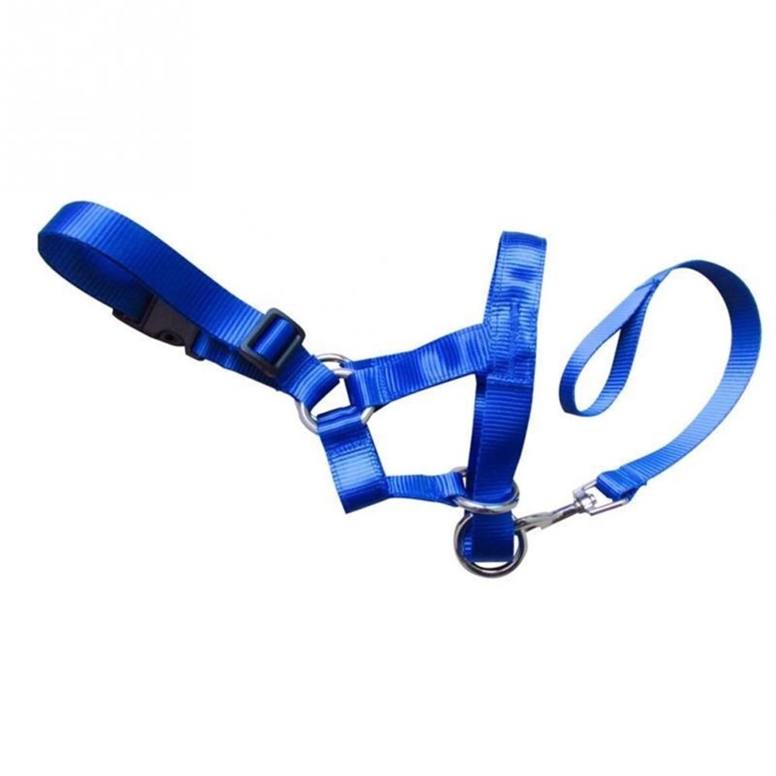 Dog Anti Bark Bite Head Leash Nylon Training Halter Collar No Pull Safe Mouth Harness Stops Pulling (Color : Blue, Size : XXL)