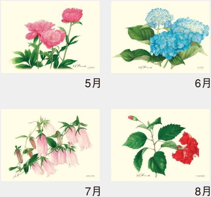 Amazon | カレンダー 2026年 花 壁掛け ボタニカルアート 内城葉子作品