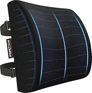 FORTEM Lumbar Support Office Chair, Lumbar Support Pillow for Car, Office Chair Back