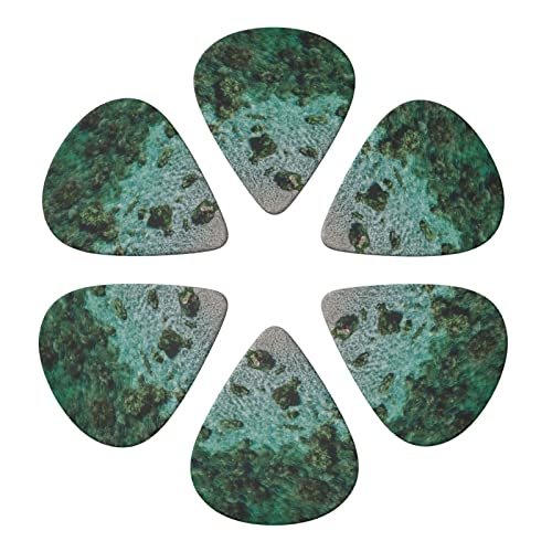 Lot de 6 médiators sous-marins imprimés récif corallien avec boîte de rangement pour guitare acoustique et électrique - Les Beatles, Paul McCartney, John Lennon, RIngo Starr, George Harrison Lot de 6 médiators sous-marins imprimés récif corallien avec boîte de rangement pour guitare acoustique et électrique – Image 5