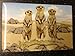 Meerkat magnes na lodówkę 80 x 55 cm