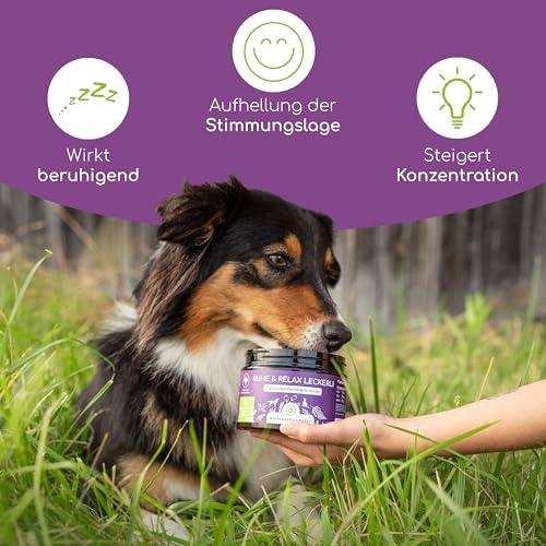 Beruhigungs-Snack für Hunde | Ruhe & Relax Leckerli | Gegen Stress und Angst | Mit Baldrian bei Anspannung und Johanniskraut für innere Ruhe