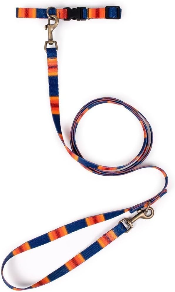 PENDLETON National Park Adventure Collar