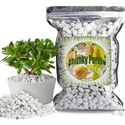 Doter Organic Chunky Perlite for Plants (0.4
