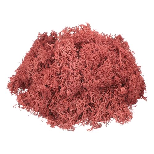 MECCANIXITY 4.6oz Preserved Reindeer Moss, Red Decorative Artificial Fake Moss for Potted Plants Indoor Crafts Lichen Centerpieces Decor