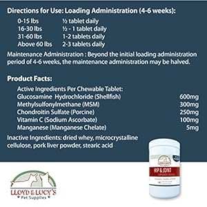 Lloyd & Lucy’s Hip and Joint Supplement for Dogs – Chewable Multivitamin with Glucosamine, Chondroitin, MSM and Vitamin C – Healthy Liver Flavored Treat Pets Will Love – 180 Ct Tablets