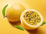 Sweet Sunrise Passion Fruit Plant – 4-6 Inches Tall – Yellow Passion Fruit Tree - Exotic Climbing Vine with Sweet Tropical Fruit – Thrives in Gardens & Containers