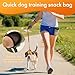 Portable Dog Treat Pouch for Training - Outdoor Waist Pack with Medium-Stiff Polyester, Leash Clip & Zippered Pocket for Pet Treats/Rewards (Black)