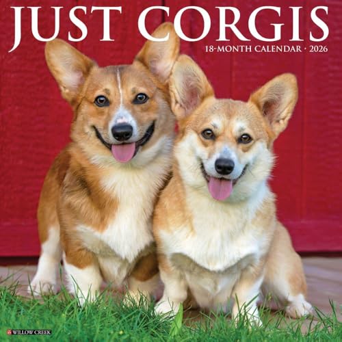 Corgis 2026 12