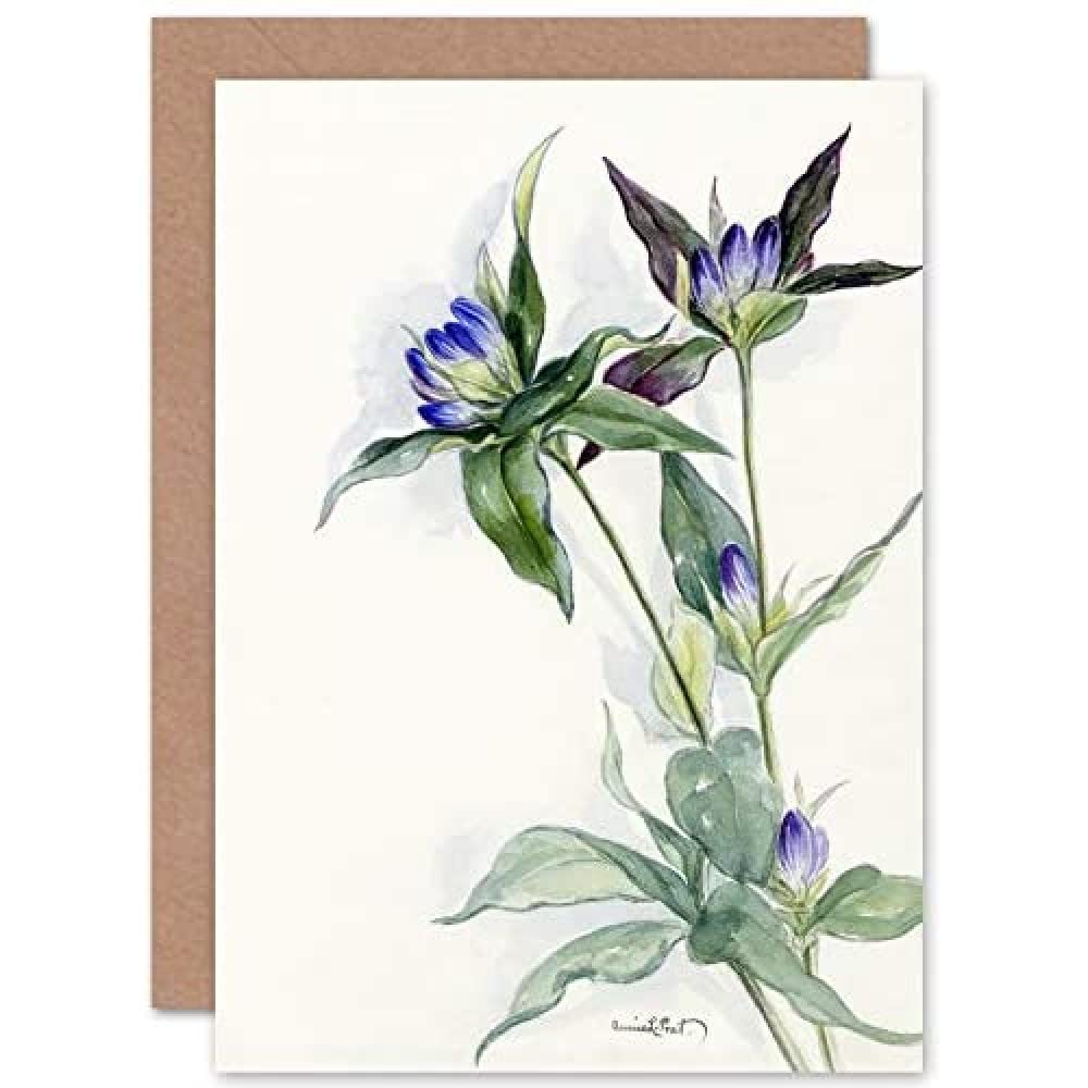 Wee Blue Coo Purple Watercolour Flowers Greeting Card With Envelope Inside Premium Quality