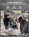 usogood Trail Camera,4K 48MP Game Camera with 8 Batteries&32GB Card,Trail Cameras with Night Vision Motion Activated Waterproof IP66, 120° Detection Angle,2.0”Screen Trail Cam for Wildlife Monitoring