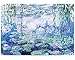 Puzzle 1000 pezzi, Puzzle Monet Ninfee, Puzzle 1000 pezzi per adulti Bambini da Jigsaw Puzzle Educational Stress Release Toy 1000 Pieces