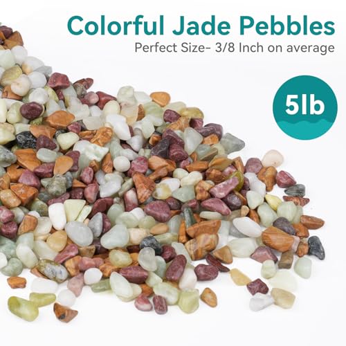 Image of 5lbs Pebbles for Indoor Plants, 3 /8 Inch Small Rocks for Potted Plants, Succulents, Vase Fillers, Cactus Planters, Bird Bath, Fountain, Outdoor Garden Landscaping
