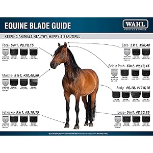 Wahl Professional Animal 10 Medium Ultimate Competition Series Detachable Blade with 1/16-Inch Cut Length (2358-500) Wahl Professional Animal 10 Medium Ultimate Competition Series Detachable Blade with 1/16-Inch Cut Length (2358-500)