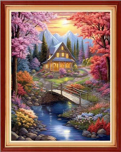 Image of Redxing Stamped Cross Stitch Kits Embroidery kit for Beginners Adults Full Range of Embroidery Patterns Starter Kits DIY Printed Cross Stitch Kits Needlepoint Kits 11CT-Dream Home 16x20 inch