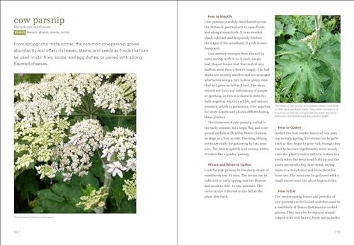 Timber Press Rose, Lisa M. Midwest Foraging: 115 Wild And Flavorful Edibles From Burdock To Wild Peach thumb #4