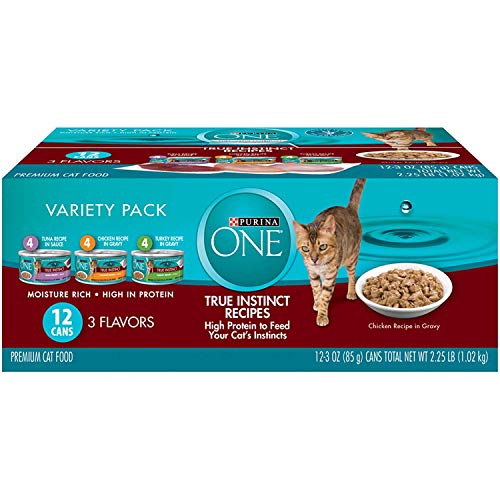 Best High Protein Wet Cat Food: A Nutritious Option for Your Feline ...