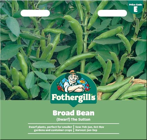 Image of Fothergill's Dwarf Broad Bean Seeds 'The Sutton' for Planting UK - Vegetable Seed
