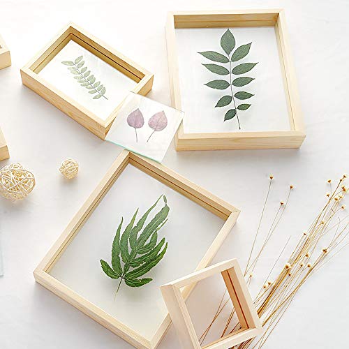 Image of Desi Rang Wooden Rectangular Frame For Wall Decor Table Top Hanging Any Green Or Dry Plant Leaf Picture Photo DIY Gift Home Decoration (Natural,Rec,7.5X5.5Inch,With Dry Leaf)