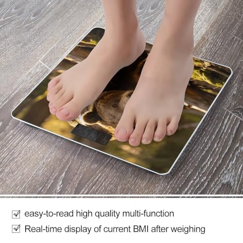 Báscula Digital de Baño con Pantalla LED Clara y Plataforma de Vidrio Templado miniatura 5