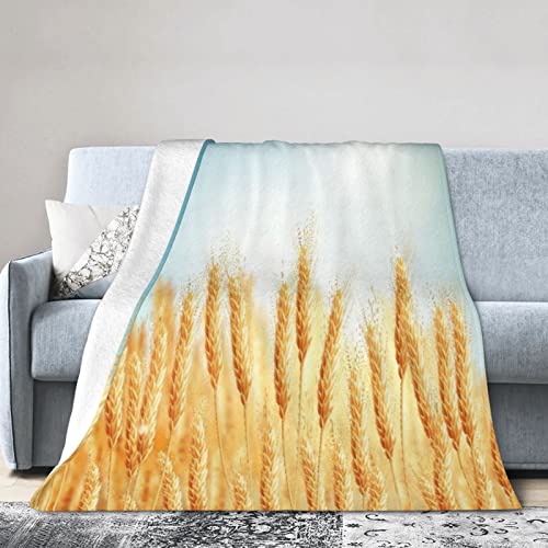 IUBBKI Fleece Blanket Blue Crop Golden Wheat Field and Sunny Day File Yellow Barley Cereal Bread Throw Blanket for Couch Sofa,Soft Warm Bed Blankets Travelling Camping Throw for Kids Adul