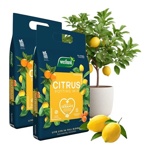 Citrus Plants Potting Mix 2 x 10L - Enriched with Seramis | Less Watering Healthier Roots & More Fruit | Ideal for Lemon Orange & Citrus Plants