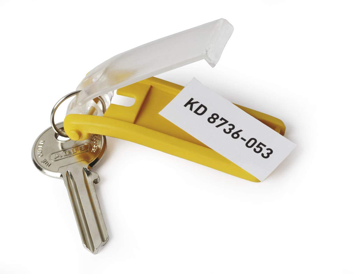 Durable 194927 Key Clip, Lot de 24 Porte-Clés avec Porte-Étiquette Personnalisable pour Armoire à Clés Key Box, Assortis