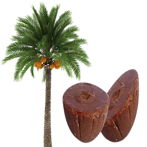 100 Natural and Original Premium Khajur Patali Gur (1Kg) Dates Palm