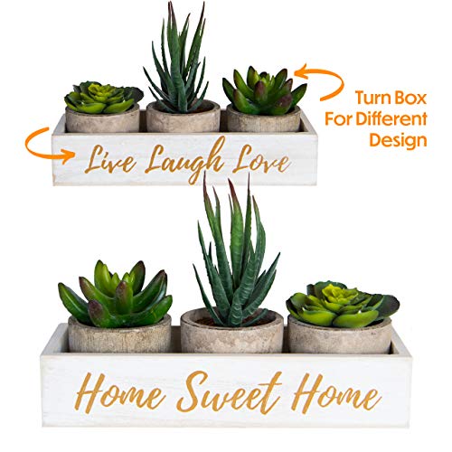 Best Office Table For Plant