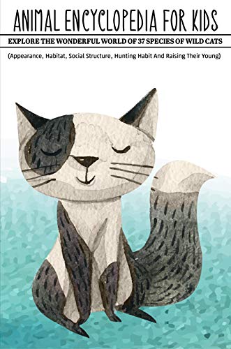 cat social structure