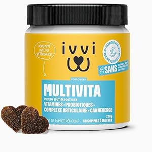 ivvi Multivitamines – Complément Alimentaire pour Chien – Soins Complets pour Une Vie de Chien Heureuse – 60 Délicieuses Friandises au Poulet (270g)