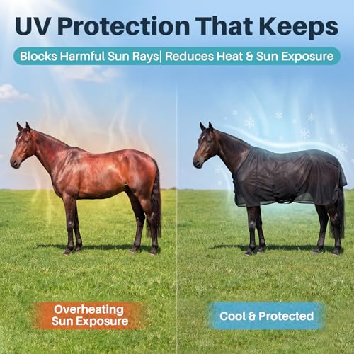 Manta transpirable para caballo Hsei contra el calor de verano con ajuste seguro 7