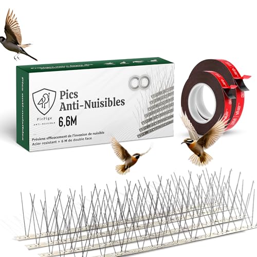 Picpige Pic Anti Pigeon - 6.6 Mètres - Acier Inoxydable - 6M de Double Face Inclus -20 unités -...