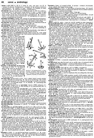 Merriam-Webster's Collegiate Dictionary: Revised and Updated