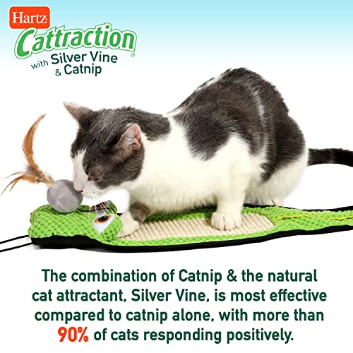 Hartz Cattraction With Silver Vine & Catnip Gator Scratch #TOP5