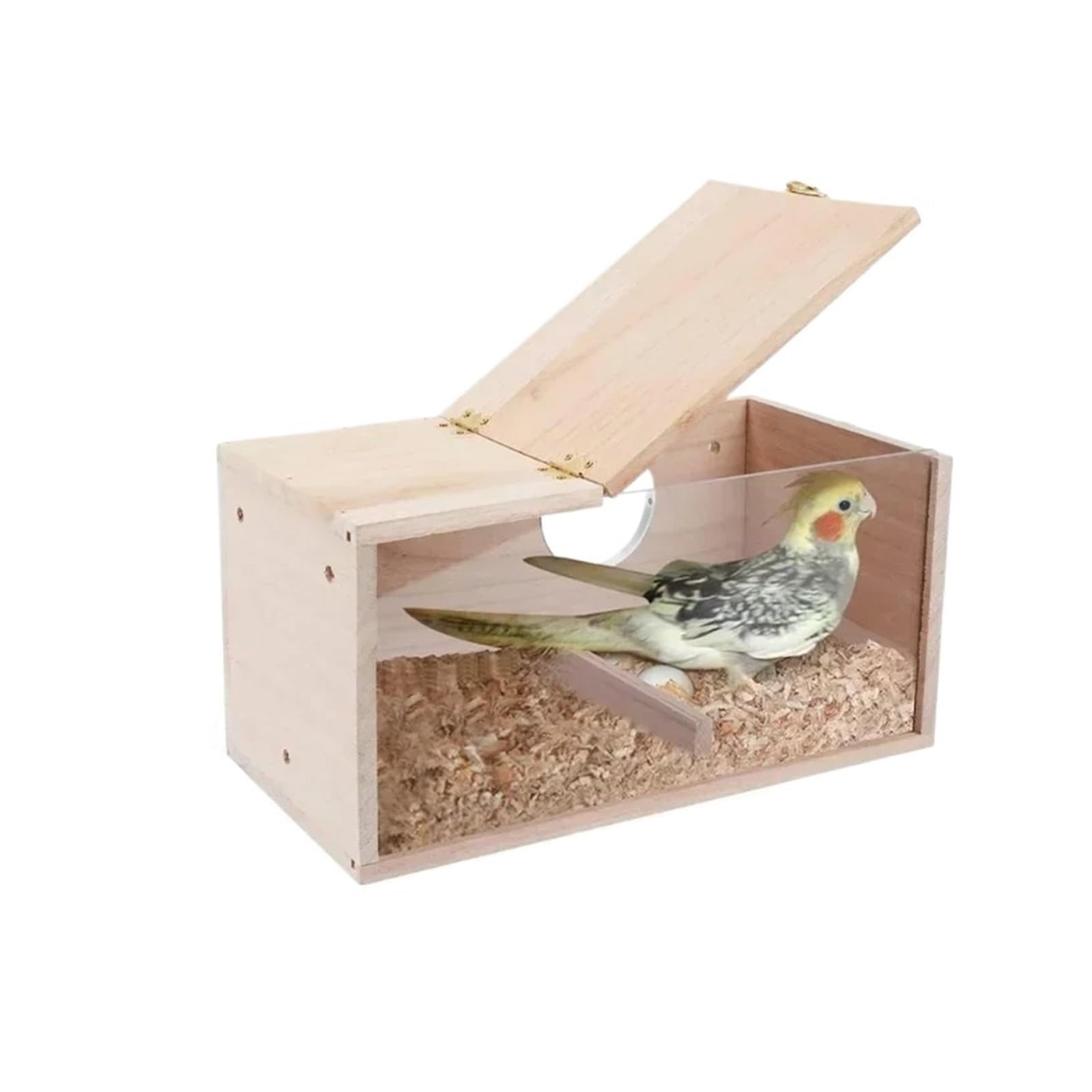 Nido de Madera para pájaros Nido for periquitos de Madera Maciza, diseño Transparente, fácil Limpiar, Bordes Lisos, Caja cría for pájaros(M)