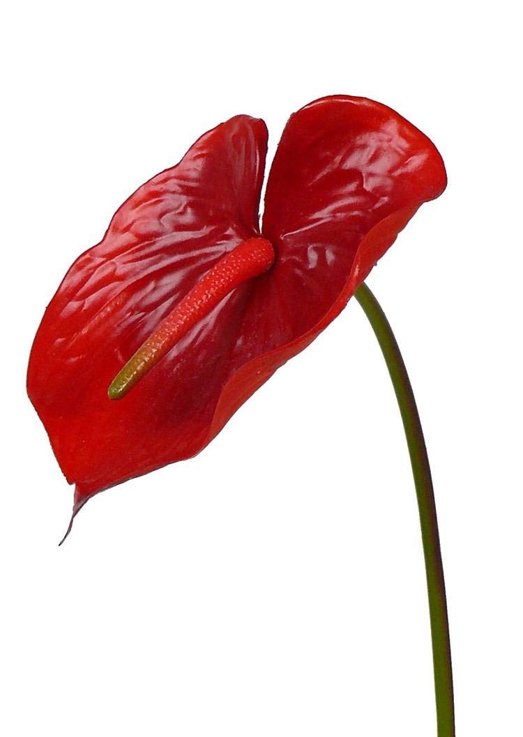 Fiore artificiale Poppy Orange 75cm 3 pezzi