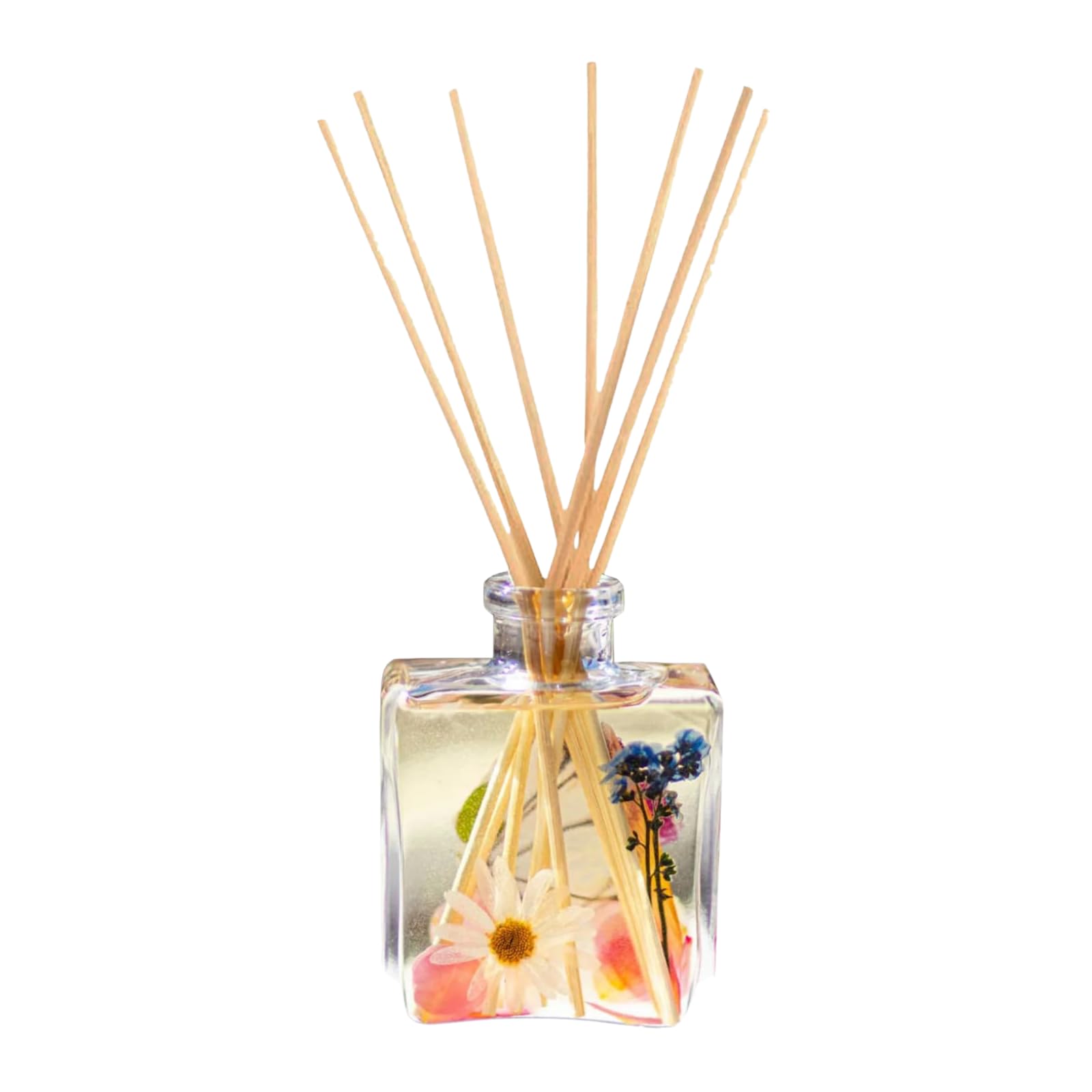 Amazon.com: Rosy Rings Apricot Rose Botanical Diffuser, Single