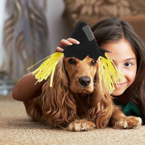 Sombrero de espantapájaros Halloween para perro tamaño grande miniatura 2
