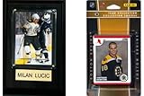 C & I Collectables NHL Boston Bruins Fan-Set