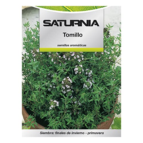 SATURNIA - Semillas Aromaticas Tomillo (1 gramo) Horticultura, Horticola, Semillas Huerto.