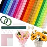 BREENHILL 500 PCS Pipe Cleaners Craft Kit, 20 Colors Chenille Stems with Flower Stems, Floral Tape, and Ribbon for DIY Craft Projects,Beginner Craft Supplies