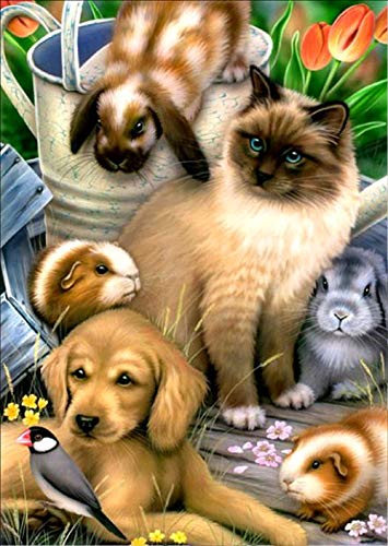 Kit de pintura de diamantes 5D para manualidades con números,diy pintura al oleo por numeros，cuadros punto de cruz kit decoración de pared, 30 x 40 cm, diseño de gato y perro