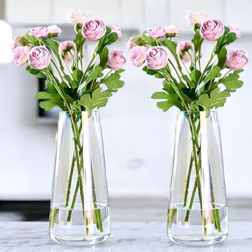 Image of Decorative Glass Vase for Flower Plants | Clear Glass vases for Home Decor | Glass vase for Living Room (Pack of 2)