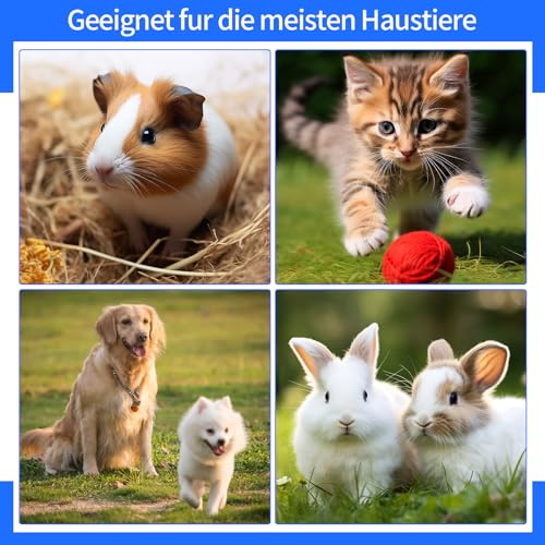 30 Stück Stuhlprobenröhrchen, 15ml Kotprobenröhrchen Hund und Katze, Probenröhrchen mit Löffel, Kotröhrchen Hund, Untersuchungsröhrchen für Stuhlprobe Haustiere zum Testen