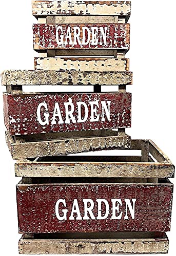 Wooden Crates Fruit Basket Decorative Kitchen Storage Garden Decor by PKD (Set of 3)