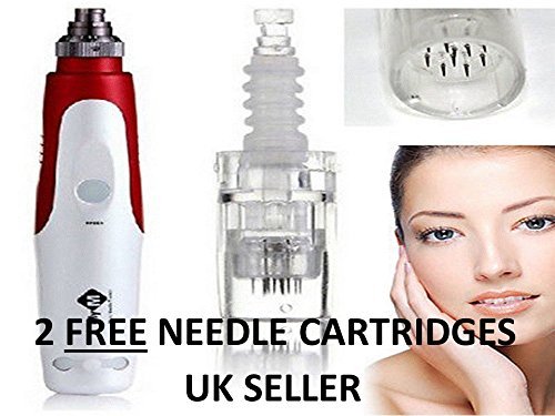 Auto Derma micro Needle penna timbro con due free