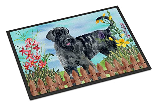 Caroline's Treasures CK1222JMAT Giant Schnauzer Spring Doormat 24x36 Front Door Mat Indoor Outdoor Rugs for Entryway, Non Slip Washable Low Pile, 24H X 36W