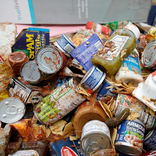 『Food stamp rage bait』のカバーアート