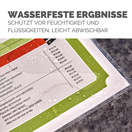 Fellowes A4-Laminierfolien, glänzend, 100 Blatt, 250 Mikron (2×125), hochwertige Verarbeitung mit Image Last Mark – ideal für Fotos, Notizen & täglichen Gebrauch